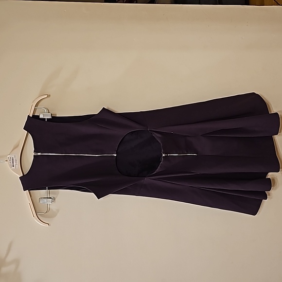 $395 Elizabeth and James Sabine Sleeveless Deep Plum Dress sz 10 - Picture 3 of 3